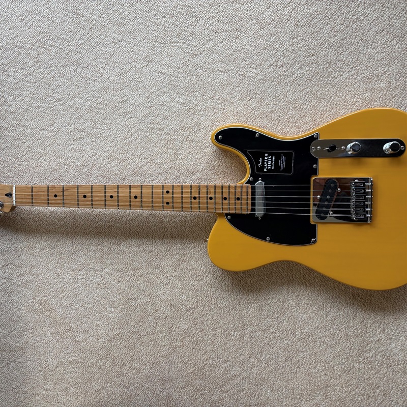 Fender MEX LTD Player II TL Roastedの画像